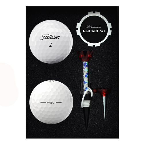 Ÿ��Ʋ����Ʈ PRO V1 2�� ����Ŀ Ĩ �ڼ�Ƽ��Ʈ